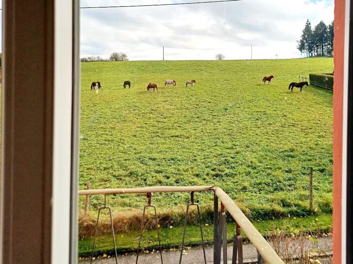 Blick auf Felder und Pferdeweide